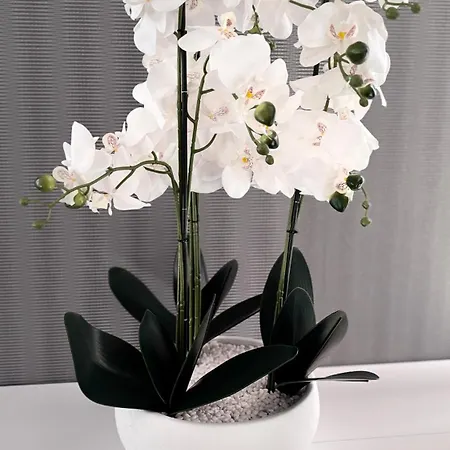 Thermes Coconing Amnéville-metz-thionville- Luxembourg * Amnéville